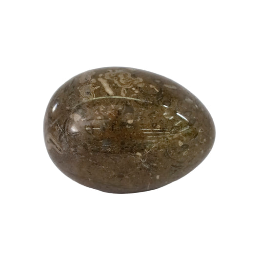 "Renkli Doğal Taş Yumurta Koleksiyonu - Dekoratif ve Şifa Amaçlı"